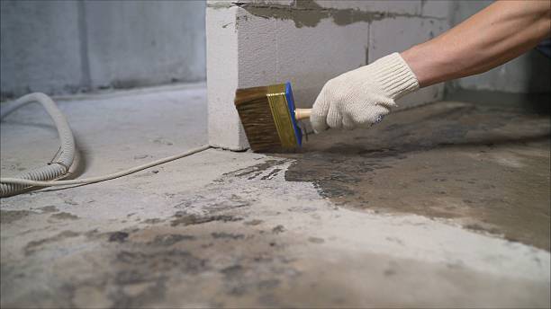 Top rated local Crawl Space Encapsulation specialists in Middletown, VA